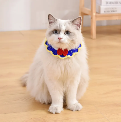 猫咪项链 猫咪项链