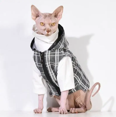 猫咪夹克 猫咪夹克
